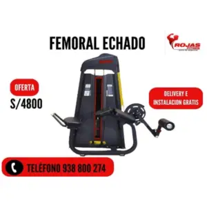 FEMORAL ECHADO